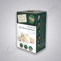 Custom Mushroom Boxes Mushroom Packaging Wholesale