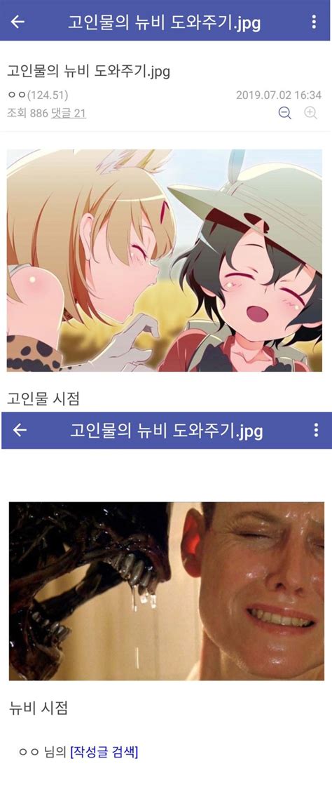 아직 반건조한 오징어 장이다 자유게시판 코인판 가상화폐 커뮤니티 비트코인 김프 사이트 김치프리미엄 빗썸 업비트