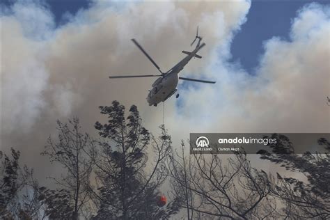 Marmaris teki orman yangını Anadolu Ajansı