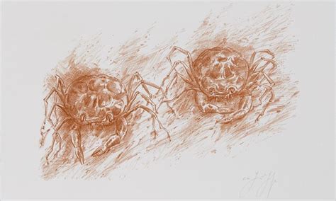 Im Krebsgang (2002) - Günter Grass-Haus - Die Lübecker Museen