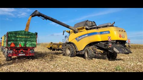 żniwa kukurydza 2022 LG seeds i new Holland cx 8 80 Kubota m7152 YouTube