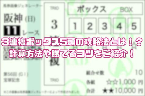 3連複5頭ボックスの攻略法とは？！計算方法や勝つためのコツを徹底解説！