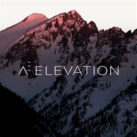 Elevation – Palindrome Studio