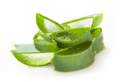 Aloe Vera Extract - Singapore Soap Supplies