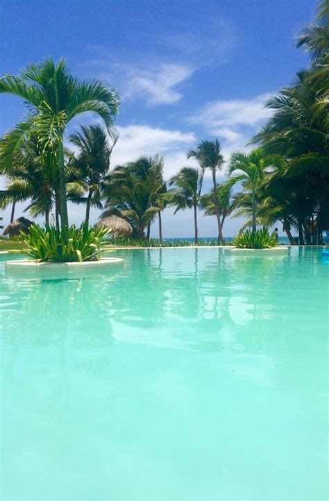 An Empty Swimming Pool Surrounded By Palm Trees