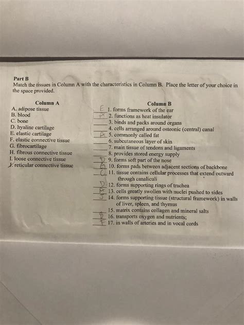 Solved Part B Match The Tissues In Column A With The Chegg