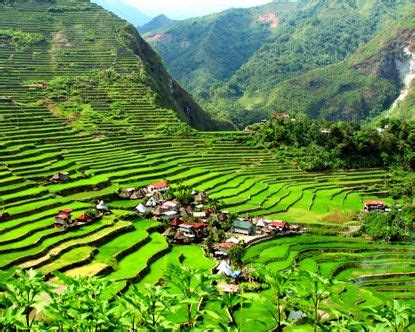 Banaue Rice Terraces | Banaue, Banaue rice terraces, Philippines travel