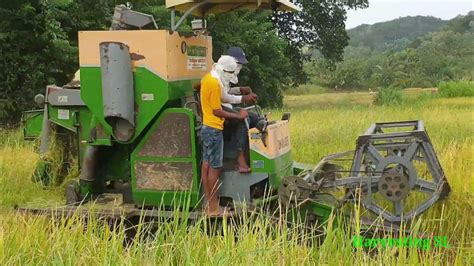 Rice Harvester Machine Rice Harvesting In Sri Lanka Harvesting Sl