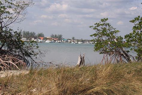 Blowing Rocks Preserve (Martin County) | Florida Living Shorelines