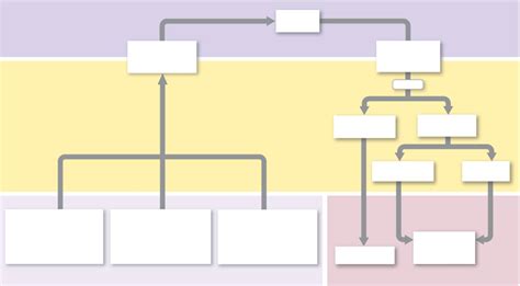 Nervous System Flow Chart Diagram | Quizlet