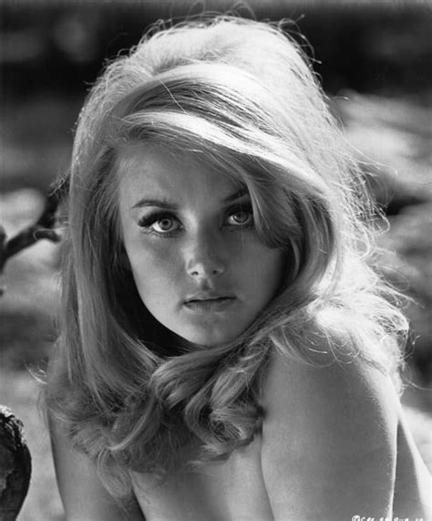 Barbara Bouchet Nude Search Results Hot Sex Picture