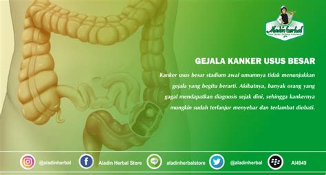 Gejala Kanker Usus Besar Dan Cara Pengobatannya Aladin Herbal Store