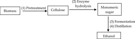 Sugarcane Bagasse Pretreatment Methods For Ethanol Production Intechopen