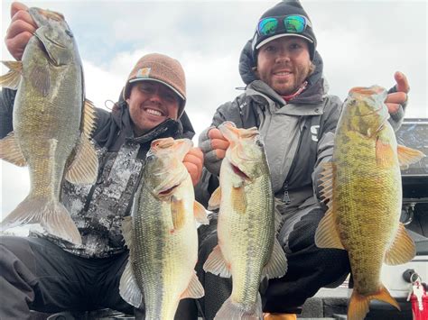 South Holston Lake Fishing Reports And Guides Fishtips Fishtips