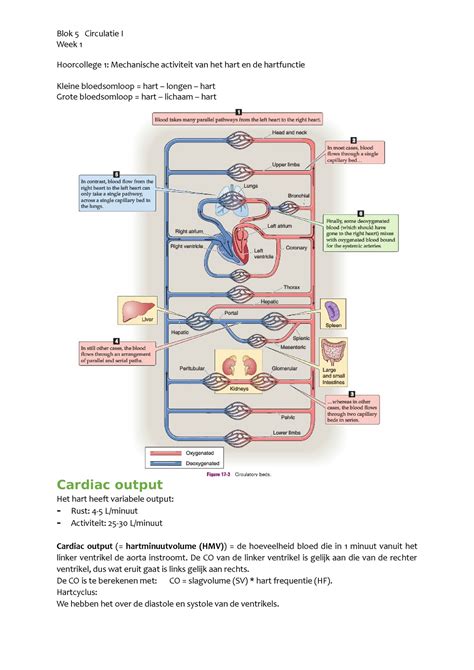 Blok Circulatie Hc Blok Circulatie I Week Hoorcollege
