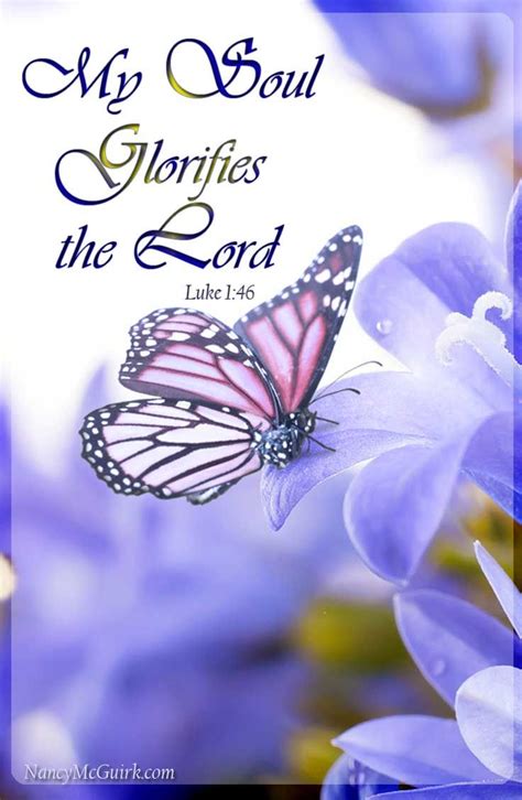 35 Best Bible Butterfly Images On Pinterest Bible Quotes Bible