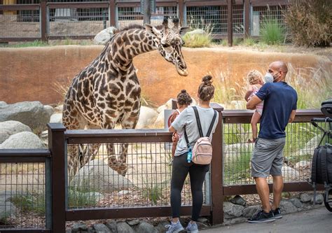 The Guide To The Los Angeles Zoo And Botanical Gardens Discover Los Angeles