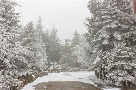 West Virginia sees first snow in October: Here’s how much | WBOY.com