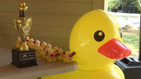 Rubber Duck Regatta