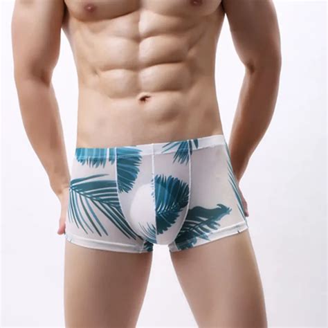 Sous vêtements transparents pour hommes boxer sexy en maille caleçons