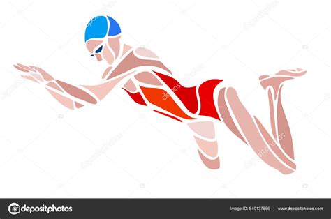 Woman Swimmer Breaststroke Vector Color Abstract Silhouette Stock