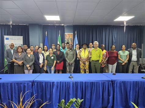 Installation Steering Committee Suriname For Sustainable Forest