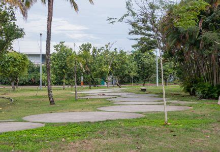 Parque Das Figueiras Na Lagoa Rodrigo De Freitas No Rio De Janeiro