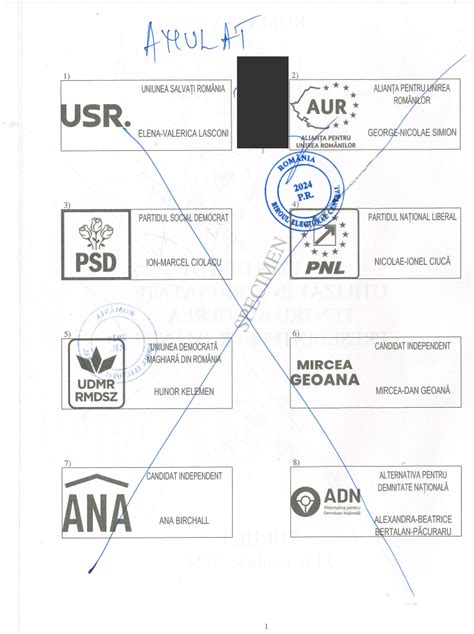 FOTO Cum arată buletinul de vot pentru alegerile prezidențiale din