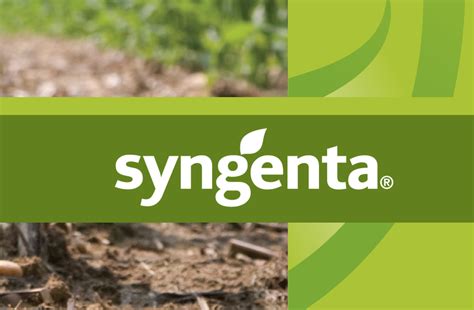 Пченка Syngenta | Syngenta