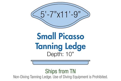 Pristine Pools Tanning Ledge Model Trilogy Swimming Pools For