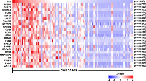 Relative Expression Levels Of FST MRNA And FST Correlated Genes