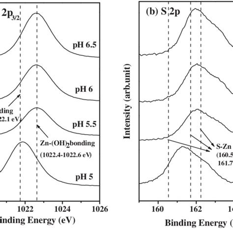 The High Resolution Xps Spectra Of Zn 2p A And S 2p B Of The Zns Download Scientific