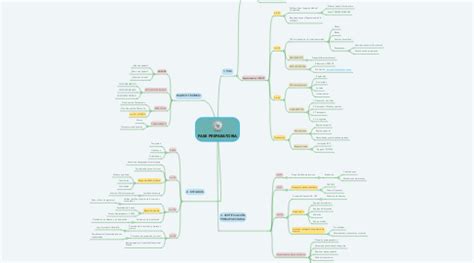 Fase Preparatoria Mindmeister Mapa Mental