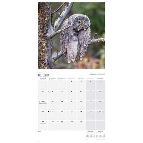 Comedy Wildlife Kalender Kopen Bestel Eenvoudig En Snel Online