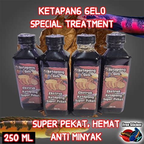 Jual Ekstrak Daun Ketapang Laut Gelo Treatmen Progress Ikan Channa