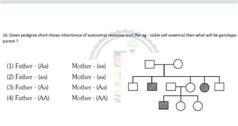 16 Given Pedigree Chart Shows Inheritance Of Autosomal Recessive Trait