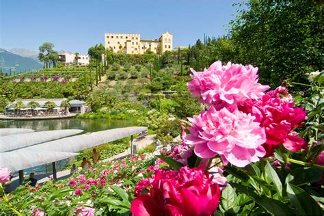 Merano Bz Di Primavera Al Castel Trauttmansdorff Sbocciano Le