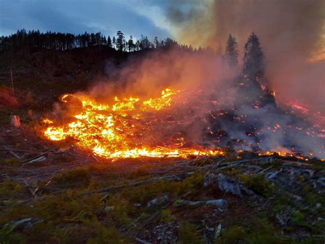 Wildfire Burns Near Great Central Lake In Port Alberni Greater