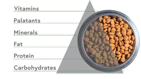 Cómo Leer Las Etiquetas De Ingredientes De Alimentos Para Perros