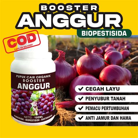 Jual Pupuk Booster Anggur Ml Pupuk Organik Pelebat Anggur Pupuk