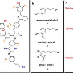 A Simplified Structure Of Organosolv Lignin Alcoholic Groups Are