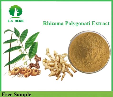 E K Herb Factory Radix Polygonati Officinalis Polygonatum Sibiricum