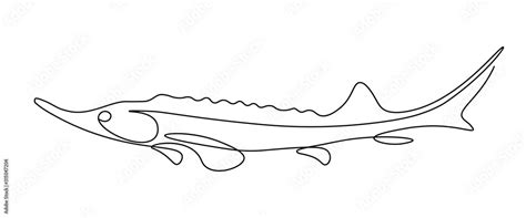 Sturgeon Fish In Continuous Line Art Drawing Style Minimalist Black