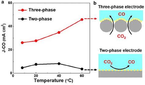 Superhydrophobicity Enabled Efficient Electrocatalytic Co2 Reduction At