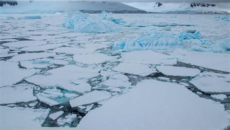 L Adn De La Pieuvre R V Le Que La Calotte Glaciaire De L Arctique