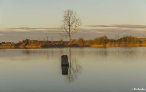 Hintergrundbilder Bäume Landschaft fallen Blätter Sonnenuntergang