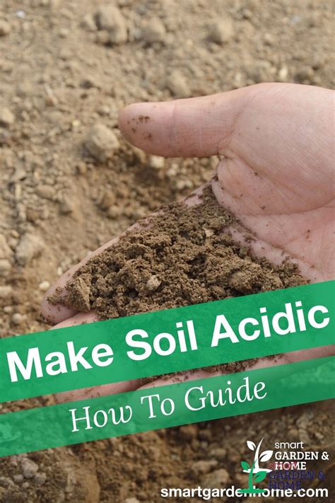 Ways For How To Make Soil Acidic Artofit