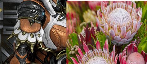 Protea Prime Has Flower Motifs Because Of Her Namesake Pics And Lore