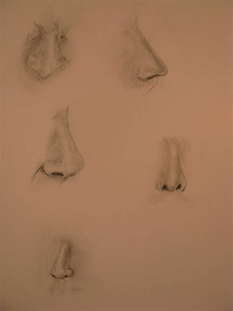 Quick Nose Study By Argonnite On Deviantart