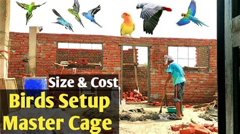 Birds Ka Masters Cage Kaisa Ban Rha Hai Part 1 YouTube